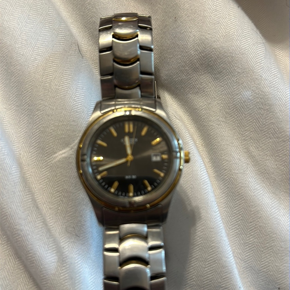 Men’s Citizens Watch